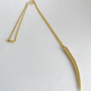 collar colmillo
